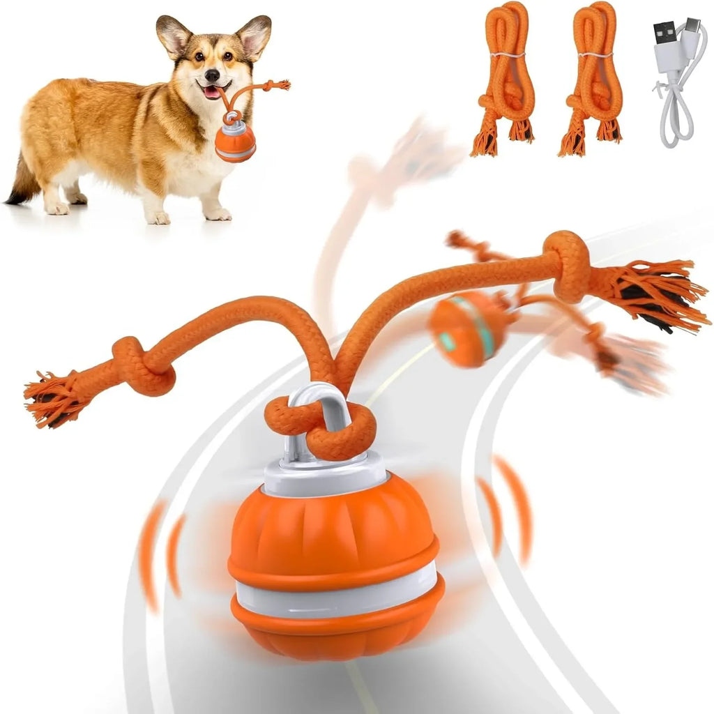 Smart Interactive Pet Ball – Intelligent Motion, Endless Engagement
