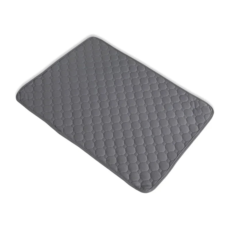 QuickDry Absorbent Washable Pet Pad Blanket