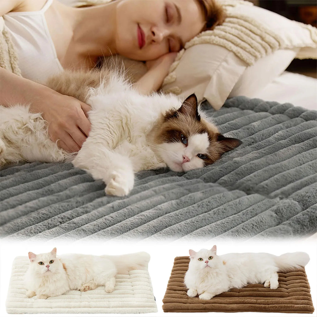 Self-Warming Pet Bed 🐱✨