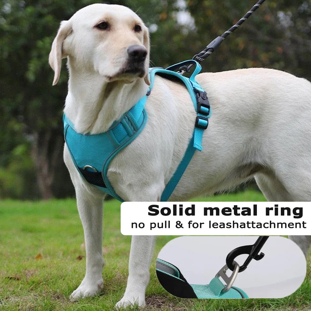 Dog Harness With AirTag Holder And Leash Set