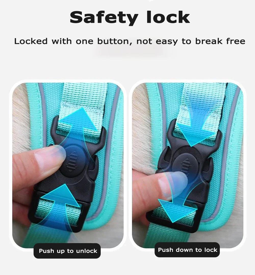 Dog Harness With AirTag Holder And Leash Set