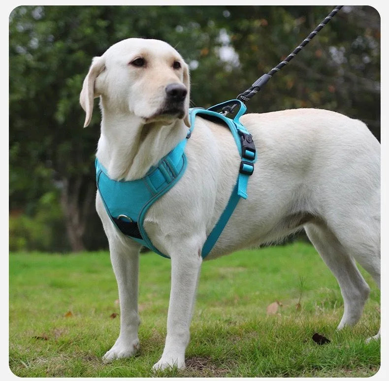 Dog Harness With AirTag Holder And Leash Set