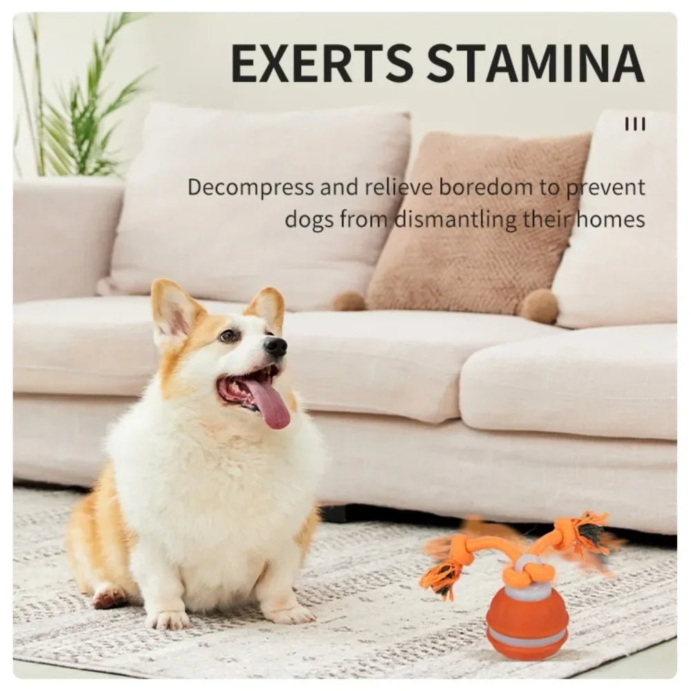 Smart Interactive Pet Ball – Intelligent Motion, Endless Engagement