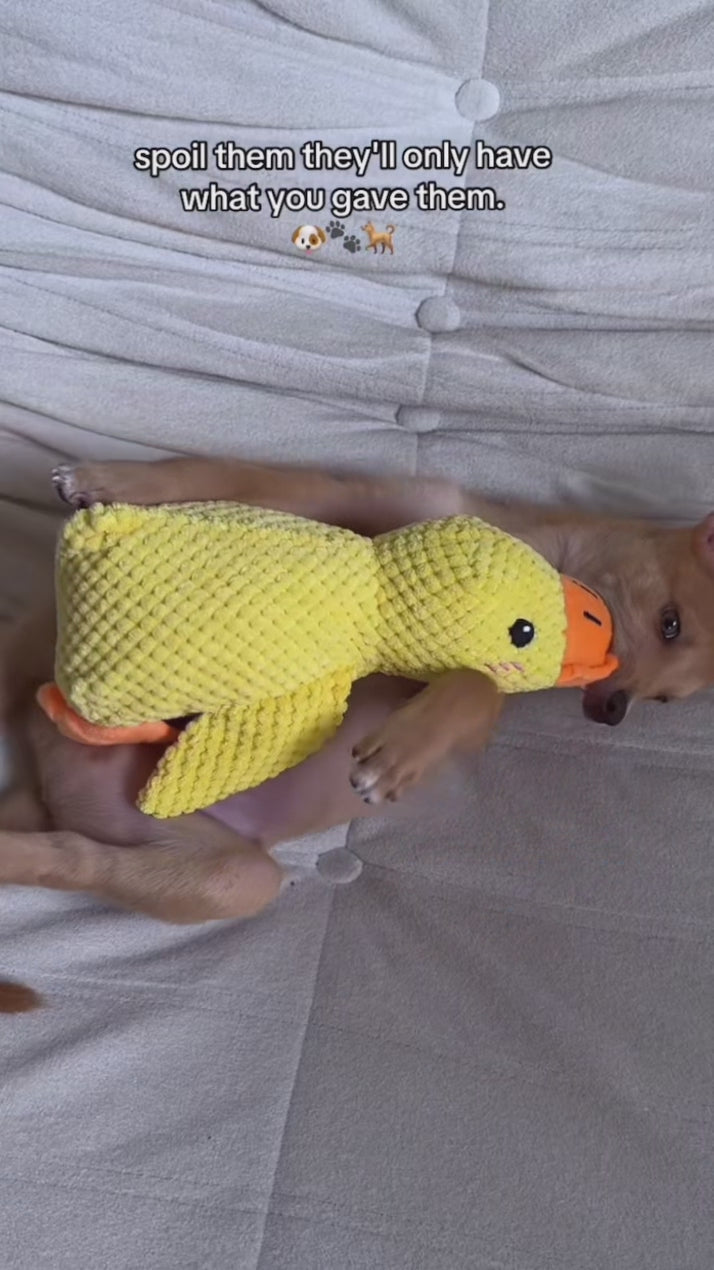Delightful Duck Plush Toy – Soft, Cuddly, and Playful Companion for Dogs